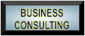 BUSINESS CONSULTING