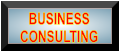 BUSINESS CONSULTING